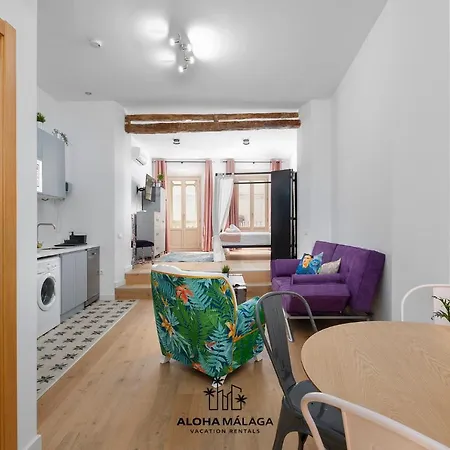 Apartments, Centro Historico By Alohamalaga Apartment Malaga